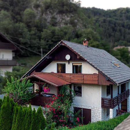 Hotel Alp House Bohinjska Bela Zewnętrze zdjęcie
