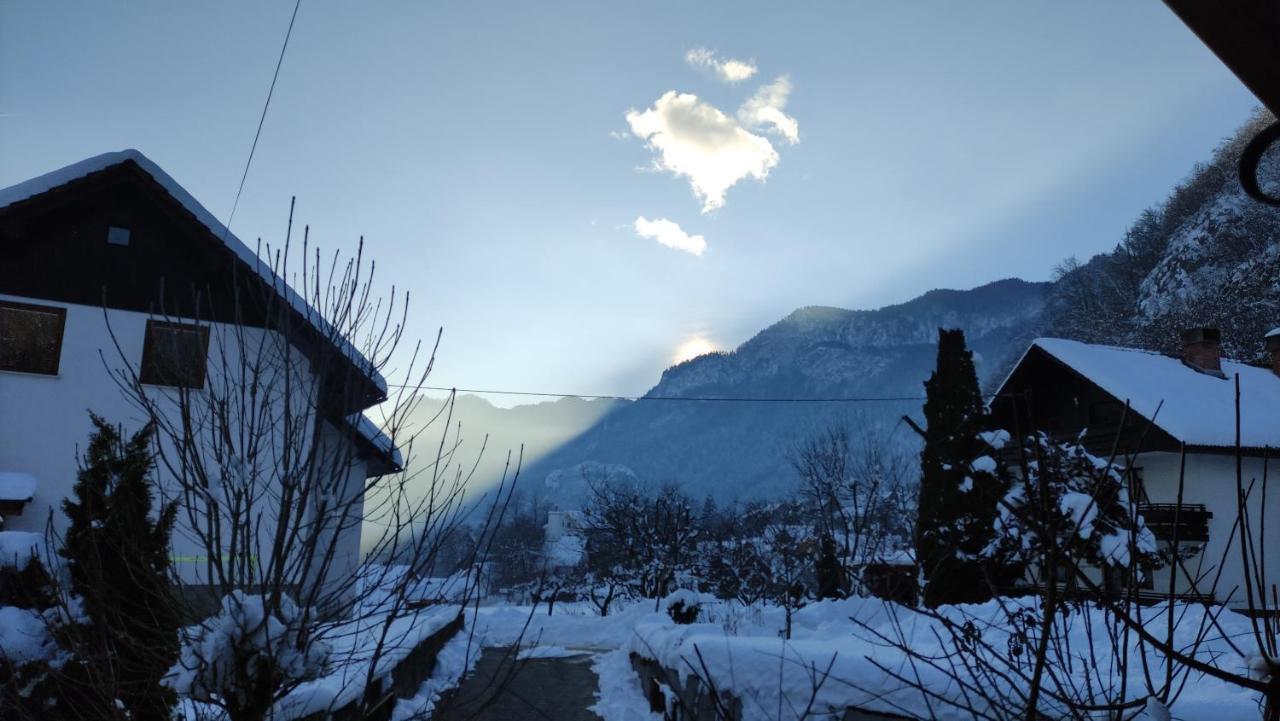 Hotel Alp House Bohinjska Bela Zewnętrze zdjęcie