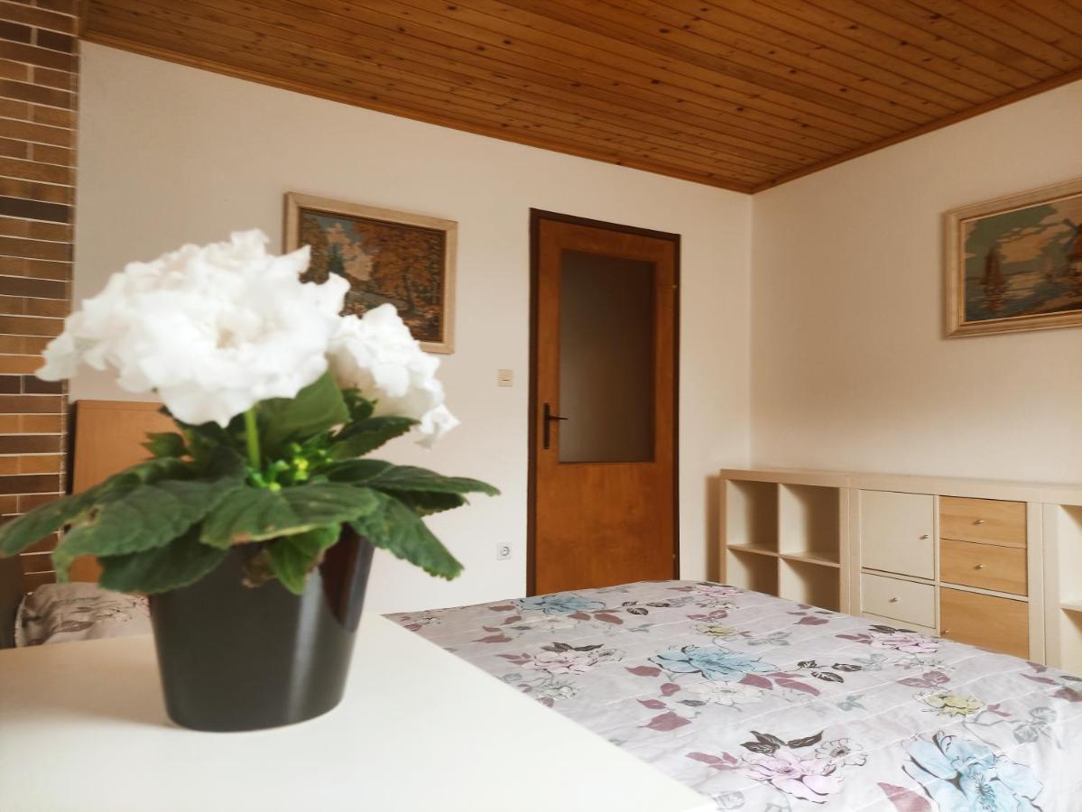 Hotel Alp House Bohinjska Bela Zewnętrze zdjęcie