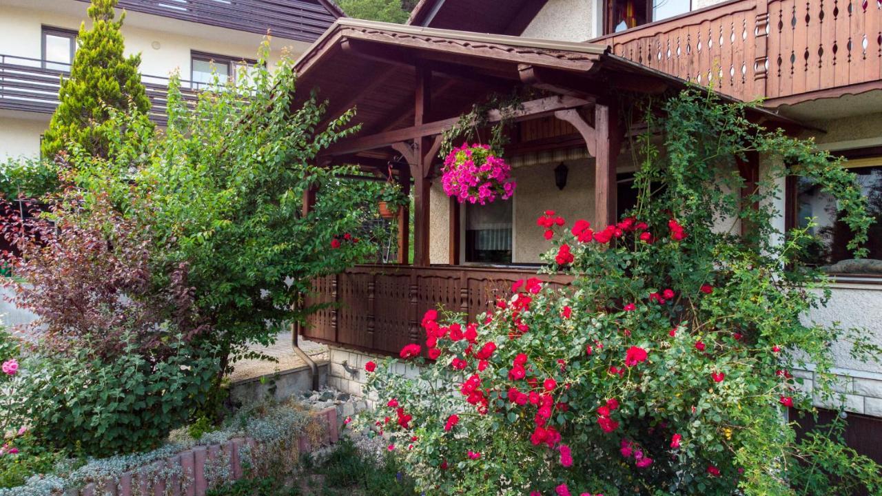 Hotel Alp House Bohinjska Bela Zewnętrze zdjęcie